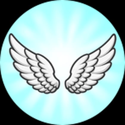 Fly Mode